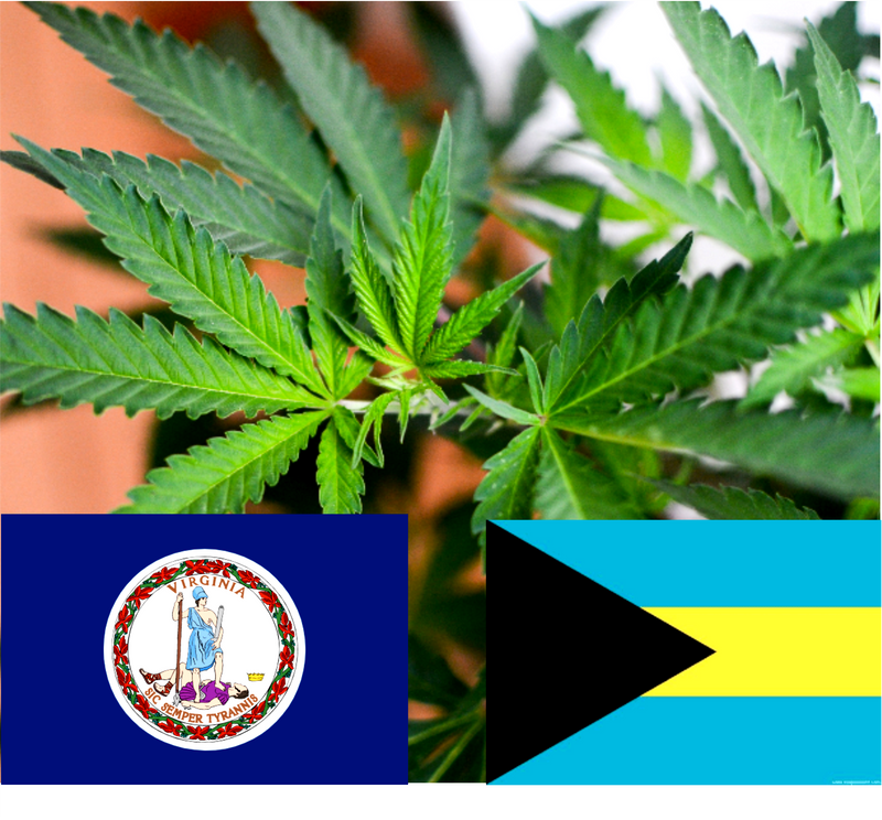 Free The South! | Virginia is for stoners? The Bahamas is for medicinal cannabis?